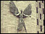 Coventry Cathedral