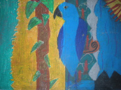 My Parrot