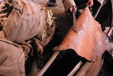 Reproduced of the underground tannery.