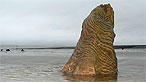 Hen goeden yn y môr ar draeth y Borth