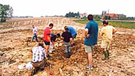 Photo of 'The Diggers'