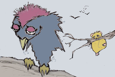 Birdy and biscuit