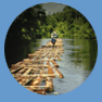 logging
