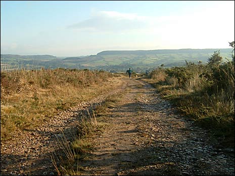 Aylesbeare Common