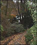 One of the paths