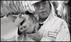 Click here to visit picture gallery8: Smithfields meat market, London.