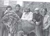 Hogia'r Wyddfa