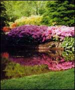 Lydney Park