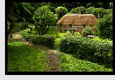 Hardy's Cottage