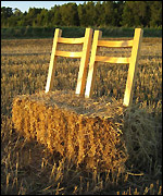 The Bale Backers by John Caswell