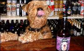 Elsa the dog with her beer 