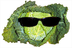 Image: Front cover - The Art of Hiding Vegetables: Sneaky ways to feed your children healthy food