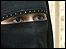 Muslim wearing the veil