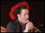 The Wombats