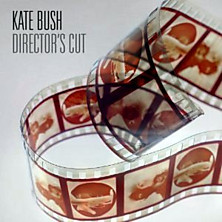 Review of Director's Cut 
