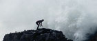 Riding Giants