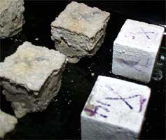 Limestone subjected to a sodium sulfate test.                       The stone on the right has been treated with a polymer solution and remains undamaged.