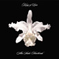 Review of Aha Shake Heartbreak
