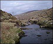 River at Steeperton