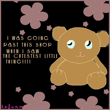 Cute little bear