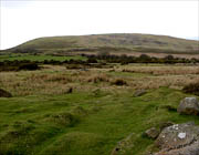 Mynyddoedd y Preseli
