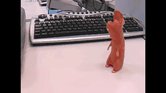 Gerald and Doogle... Gerald and Doogle...