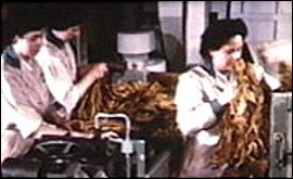 Women working in Nottingham's Players factory