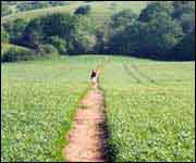 The path cuts through countryside