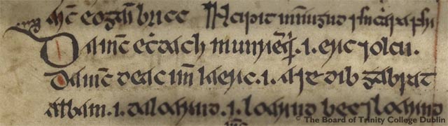 Genealogical text from Senchus fer nAlban. Image courtesy of the Board of Trinity College, Dublin