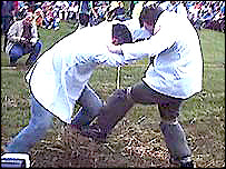 Shin Kicking