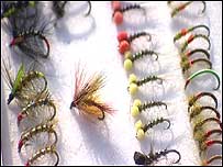 Fly fish
