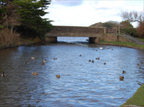 Bude Canal