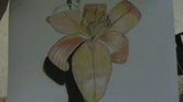 GCSE flower