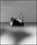 Roger Palmer: 'Black River'