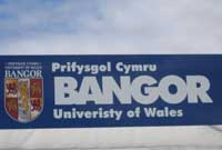 Arwydd