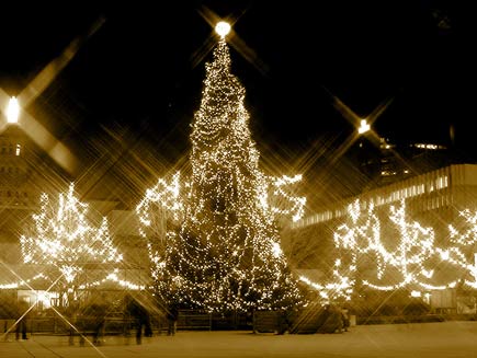 Christmas trees lit up with bright electric lights outside a civic building