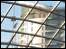 Harvey Nichols tower