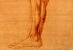 Leg