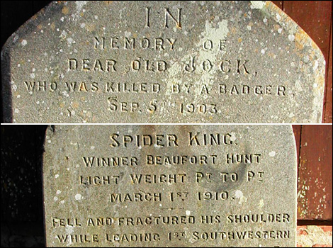 Jock & Spider King 