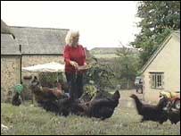 Denise Bell and chickens