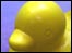 Rubber Duck
