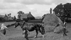 Farm workers lead a horse through a field. Other labourers are at work building large haystacks.