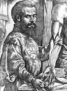 c.1540, Andreas Vesalius, Flemish anatomist and doctor