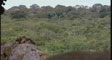 matis's video screenshot thumbnail