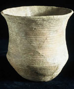 Reconstructed beaker