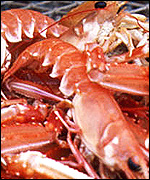 Prawns