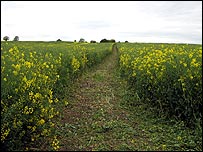 Stage Three: A field near Frisby on the Wreake take by Chris Baxter