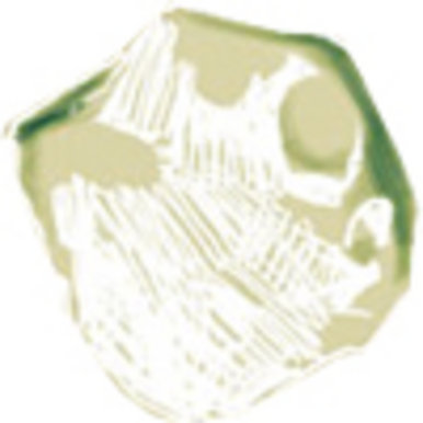 Inverted Colort Fragment