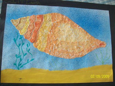 Shell collage
