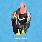 Review of Condors